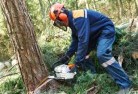 Flynns Beachtree-cutting-services-21.jpg; ?>
